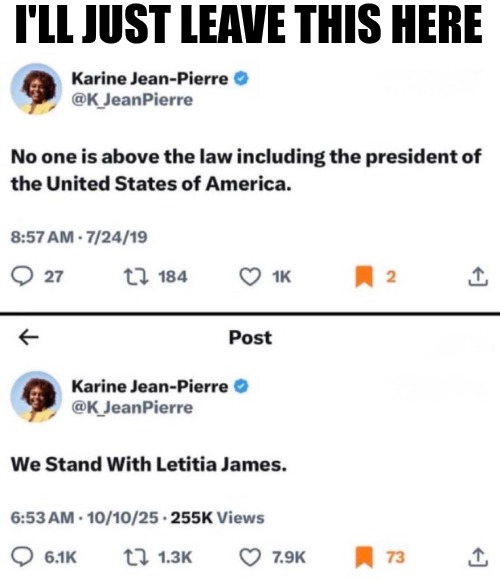 A lot of hypocrites. | I'LL JUST LEAVE THIS HERE | image tagged in democrats,leftists,liars | made w/ Imgflip meme maker