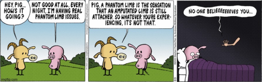 Pearls Before Swine | image tagged in comics | made w/ Imgflip meme maker