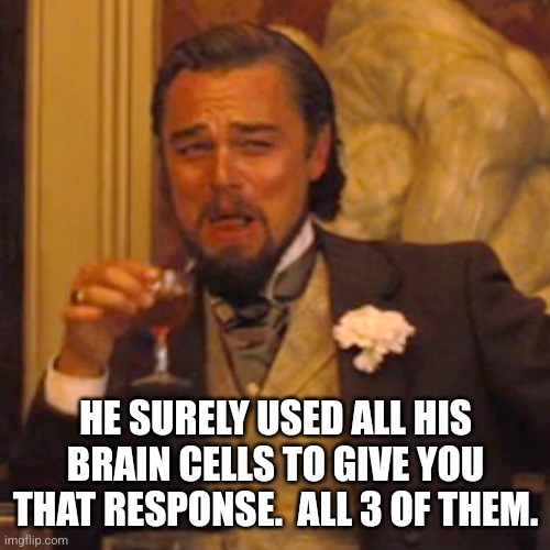 Laughing Leo Meme | HE SURELY USED ALL HIS BRAIN CELLS TO GIVE YOU THAT RESPONSE.  ALL 3 OF THEM. | image tagged in memes,laughing leo | made w/ Imgflip meme maker