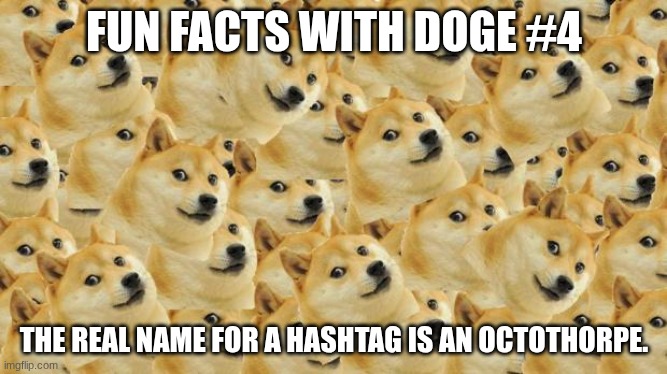 Fun facts with doge #4 | FUN FACTS WITH DOGE #4; THE REAL NAME FOR A HASHTAG IS AN OCTOTHORPE. | image tagged in memes,multi doge,funfactswithdoge | made w/ Imgflip meme maker