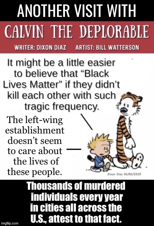 Black lives only matter to the left at election time, not so much after that… | ANOTHER VISIT WITH | image tagged in political meme,calvin and hobbes,deplorable,blm,they dont care,left wing | made w/ Imgflip meme maker