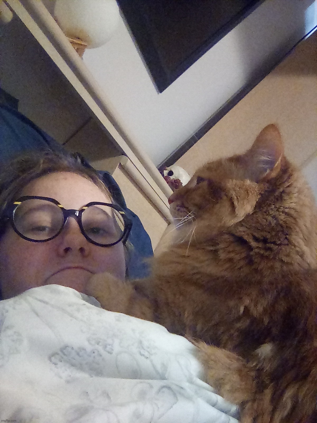 Help | made w/ Imgflip meme maker