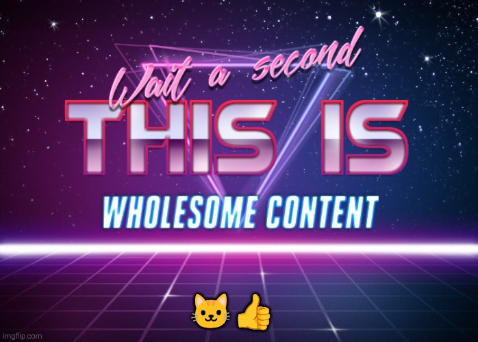 Wait a second this is wholesome content | ?? | image tagged in wait a second this is wholesome content | made w/ Imgflip meme maker