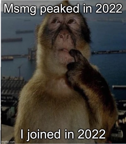 Either I made msmg peak or i marked its downfall | Msmg peaked in 2022; I joined in 2022 | image tagged in thinking monkey | made w/ Imgflip meme maker