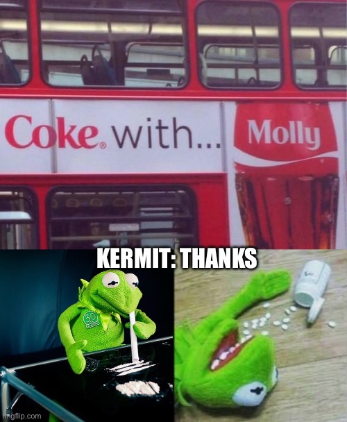Don’t do drugs | KERMIT: THANKS | image tagged in kermit cocaine,kermit got drugged,drugs,ecstacy,cocaine,mdma | made w/ Imgflip meme maker