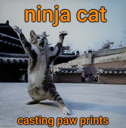 Ninja Cat | casting paw prints ninja cat | image tagged in ninja cat | made w/ Imgflip meme maker
