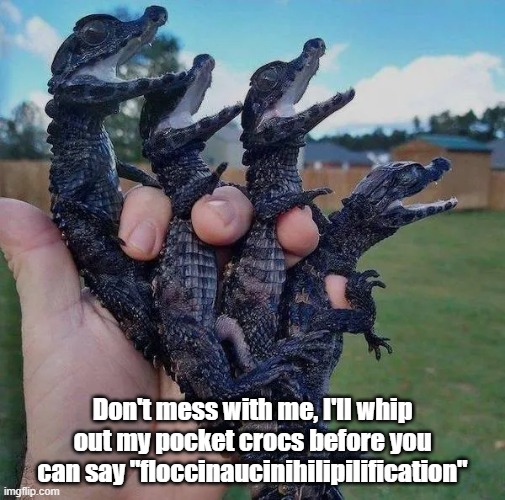 Pocket Crocs | Don't mess with me, I'll whip out my pocket crocs before you can say "floccinaucinihilipilification" | image tagged in crocs,vengeance,attack,fight | made w/ Imgflip meme maker