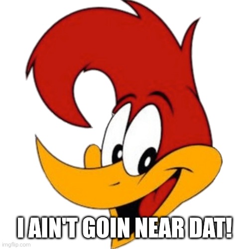 Woody Woodpecker | I AIN'T GOIN NEAR DAT! | image tagged in woody woodpecker | made w/ Imgflip meme maker