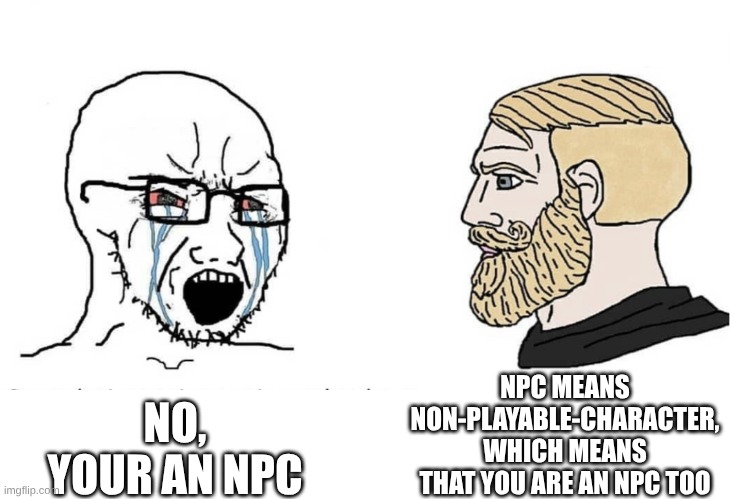 Find the intentional typo | NPC MEANS NON-PLAYABLE-CHARACTER, WHICH MEANS THAT YOU ARE AN NPC TOO; NO, YOUR AN NPC | image tagged in soyboy vs yes chad | made w/ Imgflip meme maker