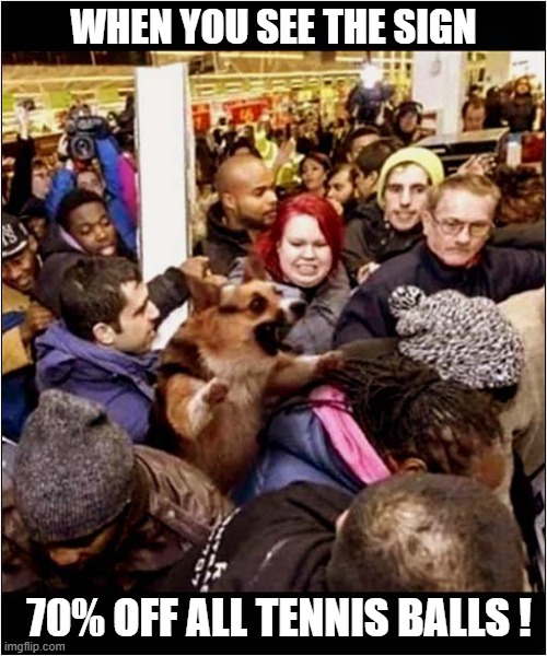 Excitement At The Sales ! | WHEN YOU SEE THE SIGN; 70% OFF ALL TENNIS BALLS ! | image tagged in dogs,sales,tennis balls | made w/ Imgflip meme maker