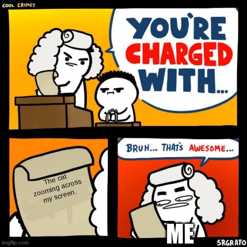 The cat zooming across my screen. ME | image tagged in cool crimes | made w/ Imgflip meme maker