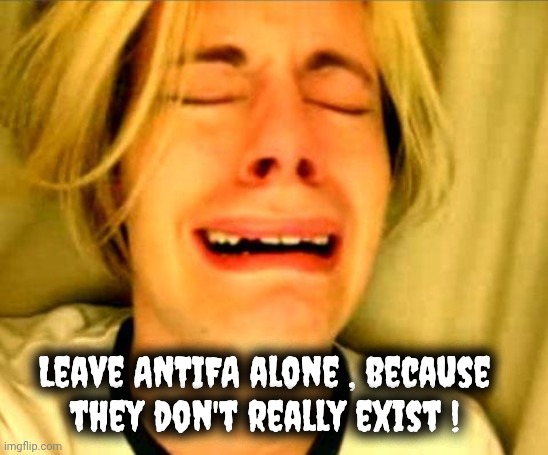 Leave Britney Alone | Leave ANTIFA alone , because
they don't really exist ! | image tagged in leave britney alone | made w/ Imgflip meme maker