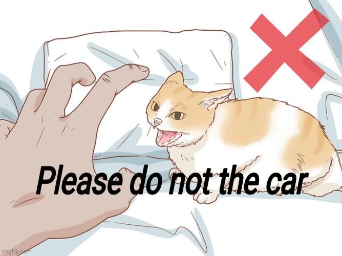 Please do not the car | made w/ Imgflip meme maker