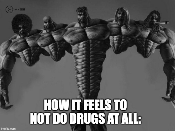 Gigachad final form | HOW IT FEELS TO NOT DO DRUGS AT ALL: | image tagged in gigachad final form | made w/ Imgflip meme maker
