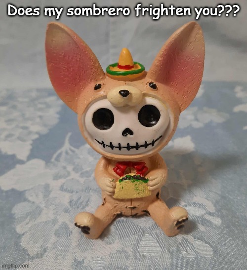 Awww... | Does my sombrero frighten you??? | image tagged in sombrero,hurt feelings,big babies | made w/ Imgflip meme maker
