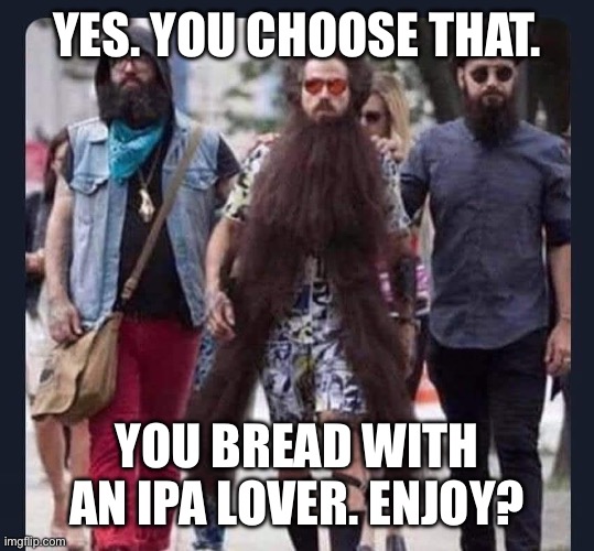 IPA TOOLS | YES. YOU CHOOSE THAT. YOU BREAD WITH AN IPA LOVER. ENJOY? | image tagged in beards,tool,beer | made w/ Imgflip meme maker