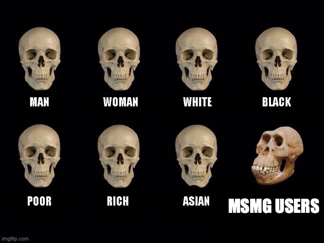 empty skulls of truth | MSMG USERS | image tagged in empty skulls of truth | made w/ Imgflip meme maker
