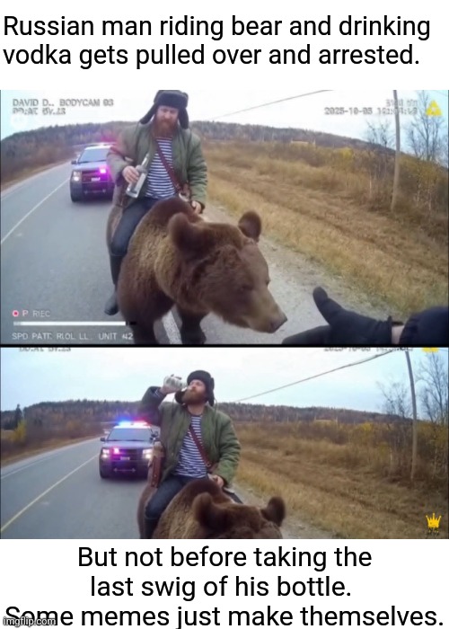 Unbearable | Russian man riding bear and drinking vodka gets pulled over and arrested. But not before taking the last swig of his bottle.  Some memes just make themselves. | image tagged in vodka,drinking,russian,pulled over,riding,bear | made w/ Imgflip meme maker