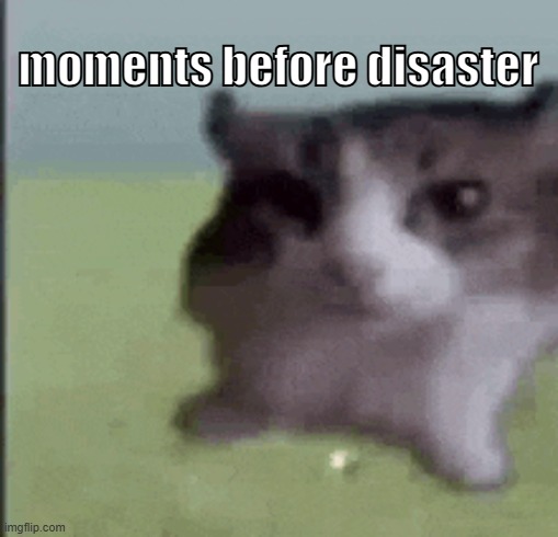 moments before disaster | made w/ Imgflip meme maker