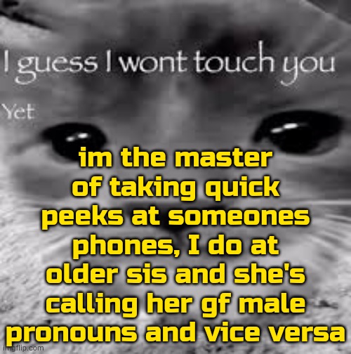 :wilted-rose: | im the master of taking quick peeks at someones phones, I do at older sis and she's calling her gf male pronouns and vice versa | image tagged in i guess i won't touch you | made w/ Imgflip meme maker