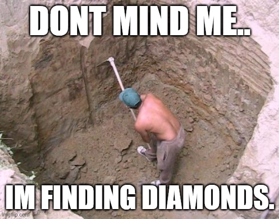 Dig a Hole | DONT MIND ME.. IM FINDING DIAMONDS. | image tagged in dig a hole | made w/ Imgflip meme maker