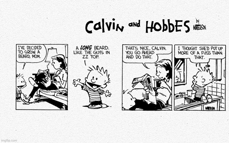 That might take a while… | image tagged in calvin and hobbes,comics,grow a beard,that might take a while | made w/ Imgflip meme maker