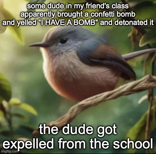 No balls | some dude in my friend's class apparently brought a confetti bomb and yelled "I HAVE A BOMB" and detonated it; the dude got expelled from the school | image tagged in no balls | made w/ Imgflip meme maker