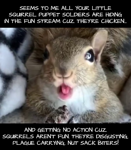 Squirrel | SEEMS TO ME ALL YOUR LITTLE SQUIRREL PUPPET SOLDIERS ARE HIDING IN THE FUN STREAM CUZ THEY'RE CHICKEN... AND GETTING NO ACTION CUZ SQUIRRELS | image tagged in squirrel | made w/ Imgflip meme maker