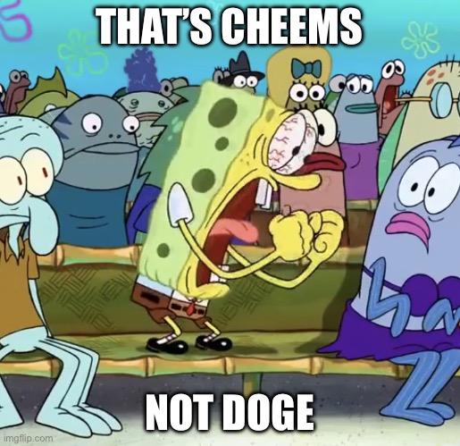 Spongebob Yelling | THAT’S CHEEMS NOT DOGE | image tagged in spongebob yelling | made w/ Imgflip meme maker