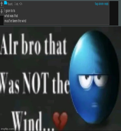 Alr bro that was NOT the wind…</3 | image tagged in alr bro that was not the wind /3 | made w/ Imgflip meme maker