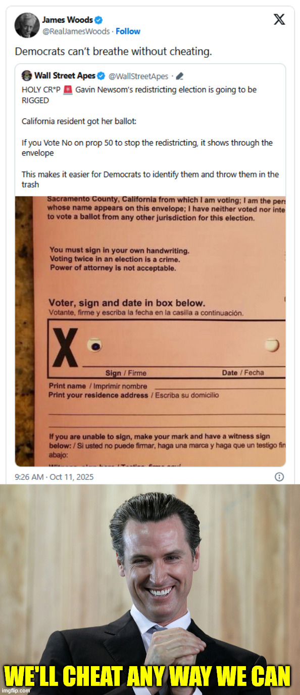 dems will cheat every way they can | WE'LL CHEAT ANY WAY WE CAN | image tagged in scheming gavin newsom,newscum,rigging california special election | made w/ Imgflip meme maker