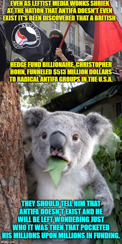 Imagine the SURPRISE of those nation-hating leftist billionaires . . . like the Soros family. | EVEN AS LEFTIST MEDIA WONKS SHRIEK AT THE NATION THAT ANTIFA DOESN'T EVEN EXIST IT'S BEEN DISCOVERED THAT A BRITISH; HEDGE FUND BILLIONAIRE, CHRISTOPHER HOHN, FUNNELED $513 MILLION DOLLARS TO RADICAL ANTIFA GROUPS IN THE U.S.A. THEY SHOULD TELL HIM THAT ANTIFA DOESN'T EXIST AND HE WILL BE LEFT WONDERING JUST WHO IT WAS THEN THAT POCKETED HIS MILLIONS UPON MILLIONS IN FUNDING. | image tagged in surprised koala | made w/ Imgflip meme maker