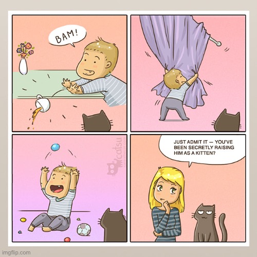 Catsu | image tagged in cats,comics,catsu,dita,toddler,kitten | made w/ Imgflip meme maker