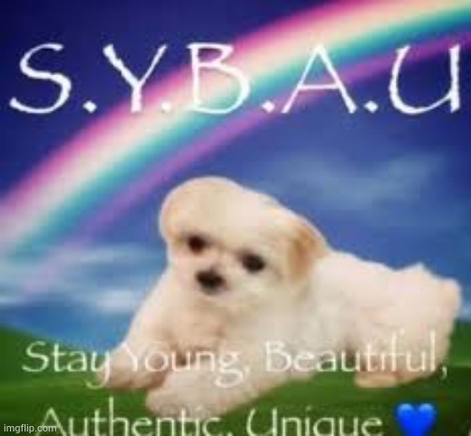 image tagged in sybau | made w/ Imgflip meme maker