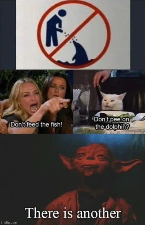 woaw | image tagged in dolphin,yoda,yoda there is another,woman yelling at cat | made w/ Imgflip meme maker