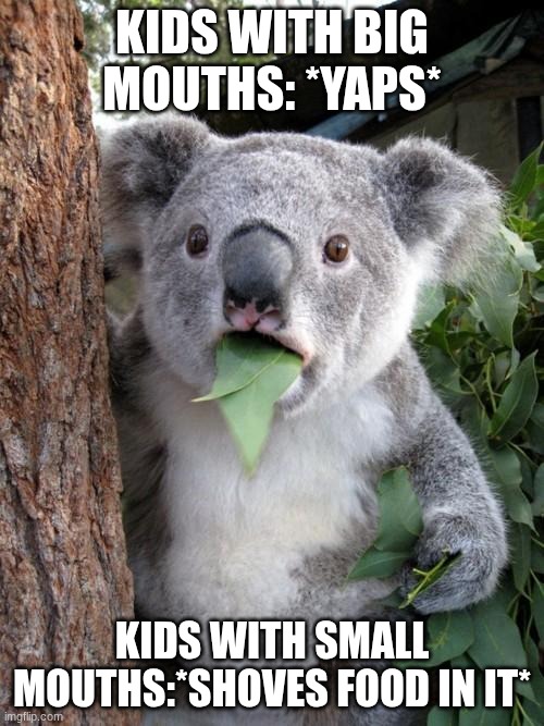 All my friends | KIDS WITH BIG MOUTHS: *YAPS*; KIDS WITH SMALL MOUTHS:*SHOVES FOOD IN IT* | image tagged in memes,surprised koala,eating,kids | made w/ Imgflip meme maker