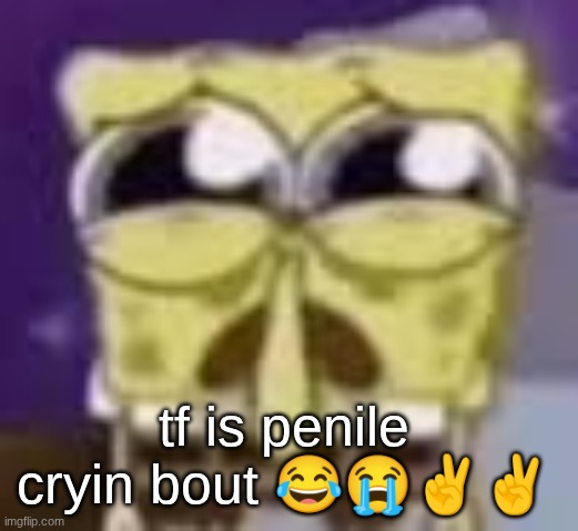 Spunchbop all sad n shit | tf is penile cryin bout 😂😭✌✌ | image tagged in spunchbop all sad n shit | made w/ Imgflip meme maker