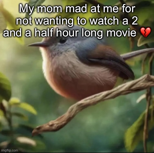 No balls | My mom mad at me for not wanting to watch a 2 and a half hour long movie 💔 | image tagged in no balls | made w/ Imgflip meme maker