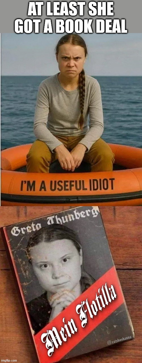At least she got a new book coming out | AT LEAST SHE GOT A BOOK DEAL | image tagged in greta,get a book deal | made w/ Imgflip meme maker