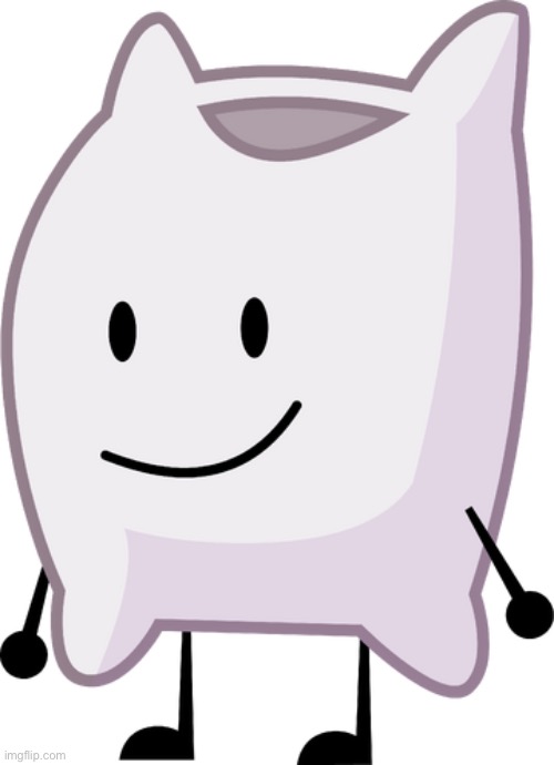BFDI Pillow | image tagged in bfdi pillow | made w/ Imgflip meme maker
