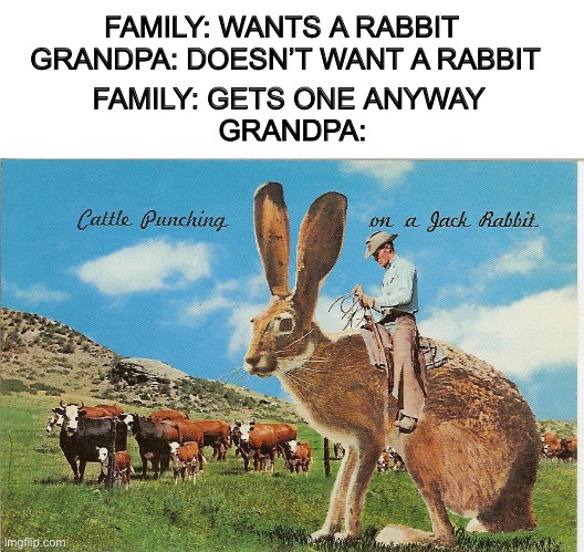 yee-haw | FAMILY: WANTS A RABBIT 
GRANDPA: DOESN’T WANT A RABBIT; FAMILY: GETS ONE ANYWAY 
GRANDPA: | image tagged in rabbit,memes,dank memes | made w/ Imgflip meme maker