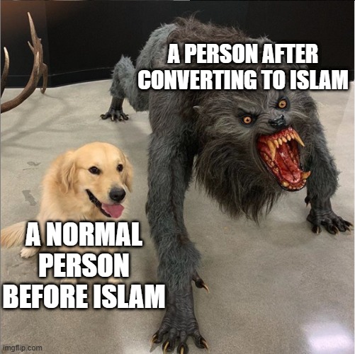 Radical Islam turns men into beasts | A PERSON AFTER CONVERTING TO ISLAM; A NORMAL PERSON BEFORE ISLAM | image tagged in dog vs werewolf | made w/ Imgflip meme maker