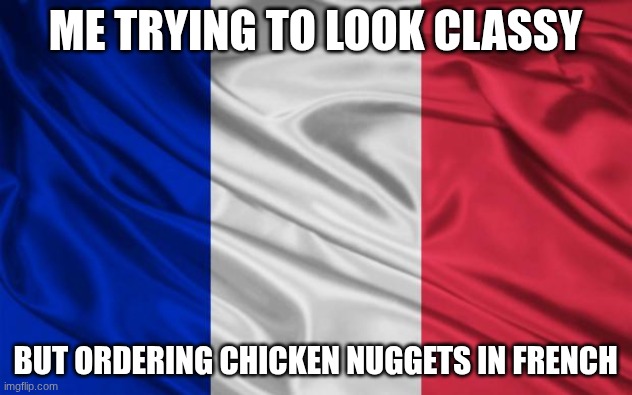 made by ai ? | ME TRYING TO LOOK CLASSY; BUT ORDERING CHICKEN NUGGETS IN FRENCH | image tagged in french flag | made w/ Imgflip meme maker