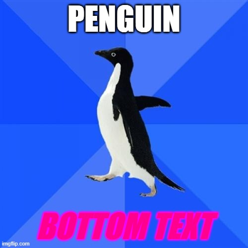 I honestly don't know what to put here | PENGUIN; BOTTOM TEXT | image tagged in memes,socially awkward penguin,what,penguin,penguins,bottom text | made w/ Imgflip meme maker