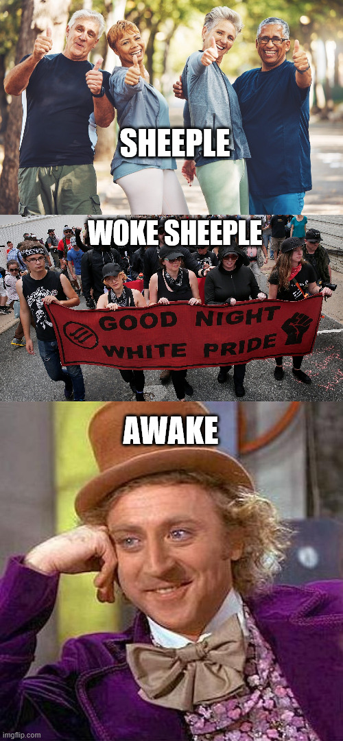 Woke Vs Awake | SHEEPLE; WOKE SHEEPLE; AWAKE | image tagged in woke,awake,sheeple,communist socialist,antifa | made w/ Imgflip meme maker