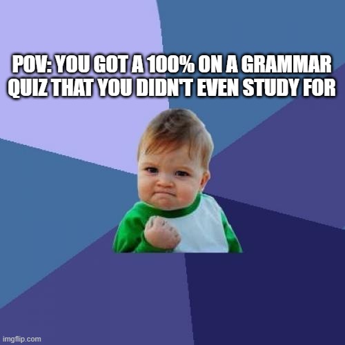 Success Kid | POV: YOU GOT A 100% ON A GRAMMAR QUIZ THAT YOU DIDN'T EVEN STUDY FOR | image tagged in memes,success kid | made w/ Imgflip meme maker