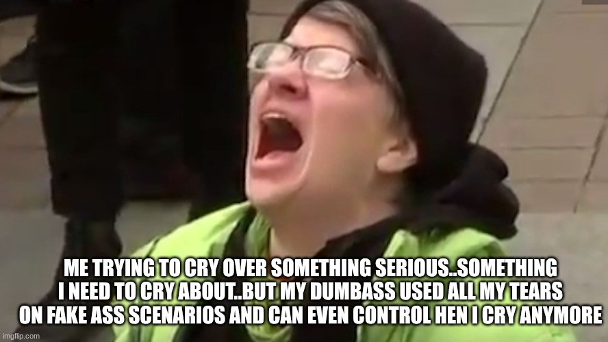 Screaming Liberal  | ME TRYING TO CRY OVER SOMETHING SERIOUS..SOMETHING I NEED TO CRY ABOUT..BUT MY DUMBASS USED ALL MY TEARS ON FAKE ASS SCENARIOS AND CAN EVEN CONTROL HEN I CRY ANYMORE | image tagged in screaming liberal | made w/ Imgflip meme maker