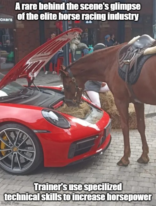 More Horsepower | A rare behind the scene's glimpse of the elite horse racing industry; Trainer's use specilized technical skills to increase horsepower | image tagged in horsepower,hey,hay,fast,secret | made w/ Imgflip meme maker