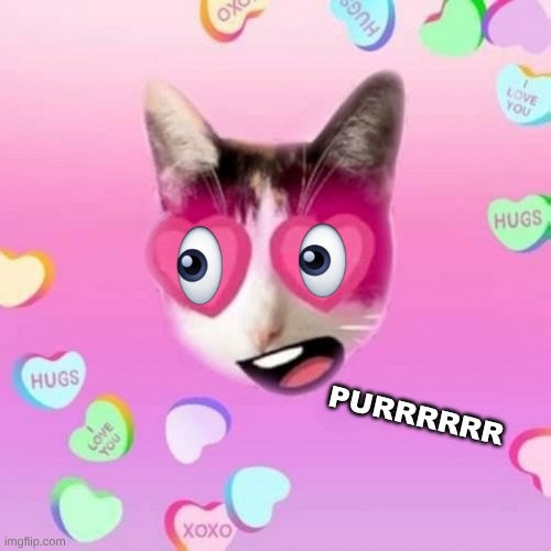 Purrrrrrr | PURRRRRR | image tagged in cat,hearts,candy crush,valentine,i love you | made w/ Imgflip meme maker