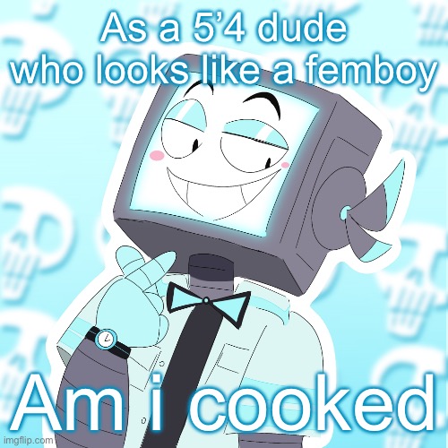 Stupid clanker icy | As a 5’4 dude who looks like a femboy; Am i cooked | image tagged in stupid clanker icy | made w/ Imgflip meme maker